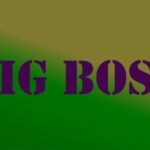 blogscart, big-boss, big boss, colors,