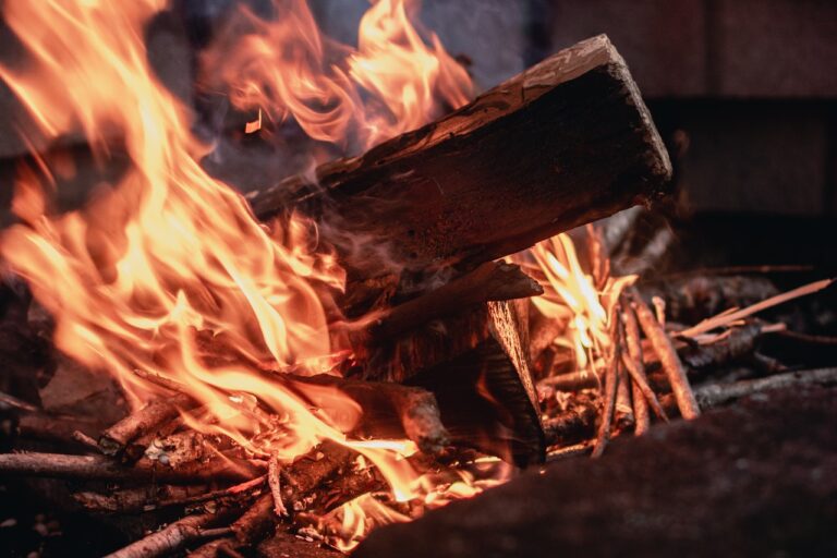 samanta, equality, wooden-fire, wood, blogscart