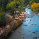 nature, mother-earth, blogs, blogscart, blogcart,blogskart