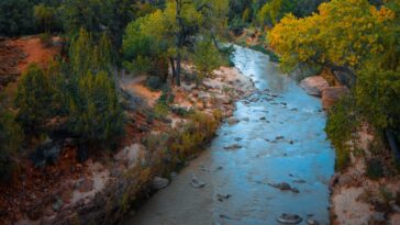 nature, mother-earth, blogs, blogscart, blogcart,blogskart