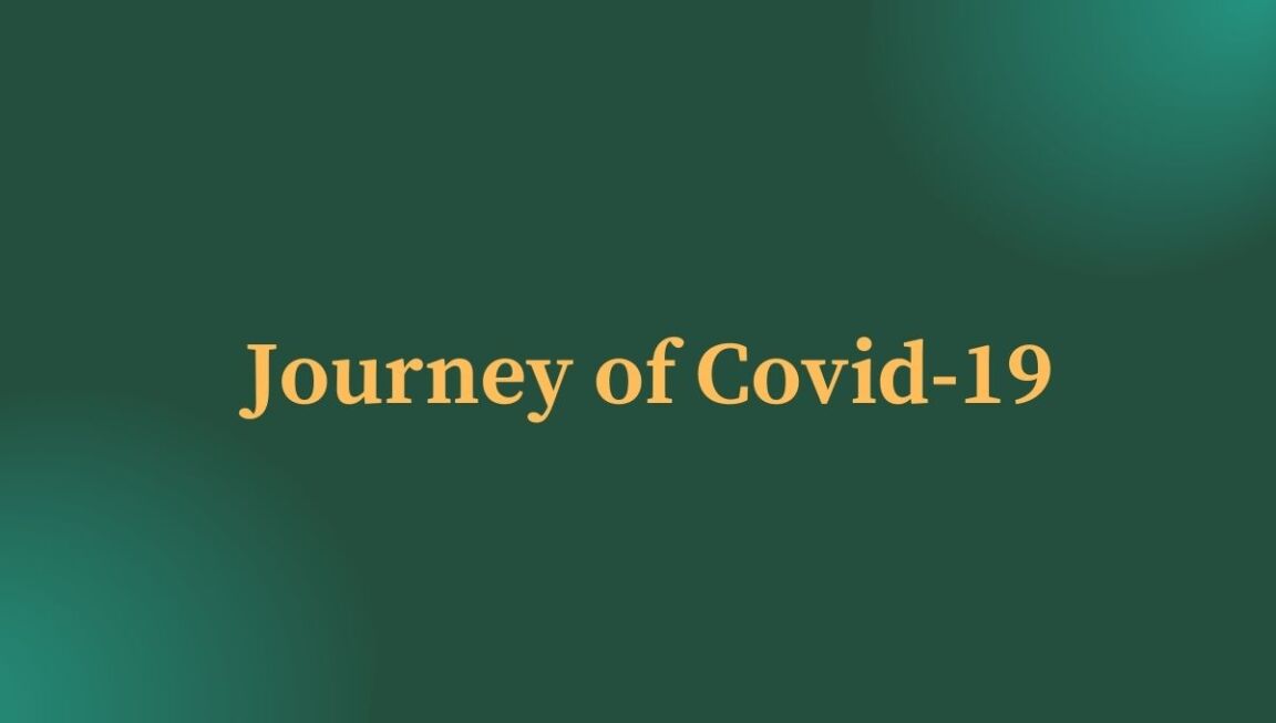 Journey Of Covid-19, covid19, help people, stay strong, how corona was made, how covid was made, blogscart stories, blogscart article, china the origin of covid