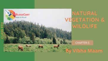 Natural vegetation and Wildlife, geo natural vegetation and wildlife notes, Natural vegetation and Wildlife notes, vegetation notes, wildlife notes, natural vegetation, class 9 chapter 5 notes, ncert chapter 5 geo notes, geography lesson 5 class 9 notes, vibha madam, class 9 geo notes ncert, wildlife, vegetation & wildlife